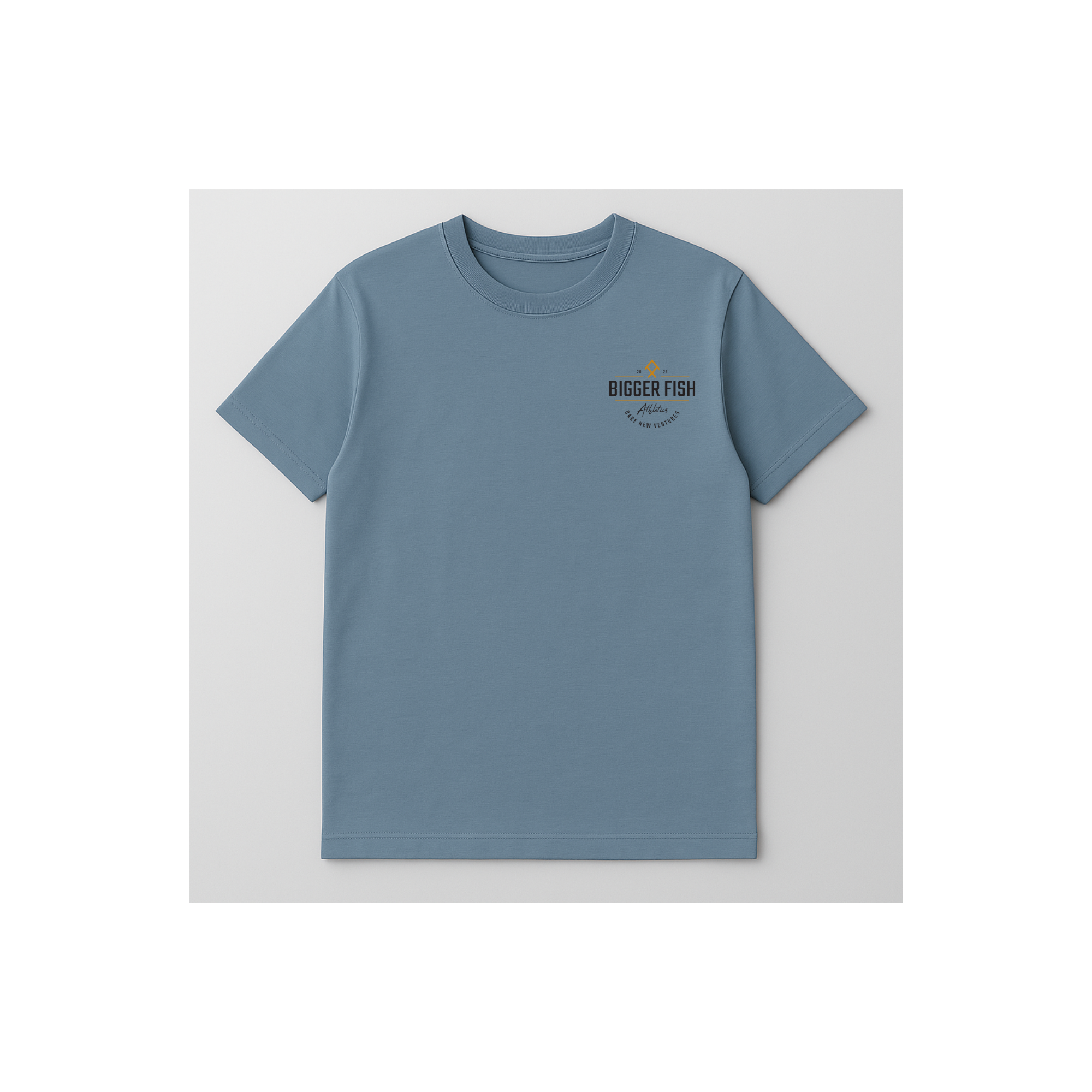 BFA Dare New Ventures T