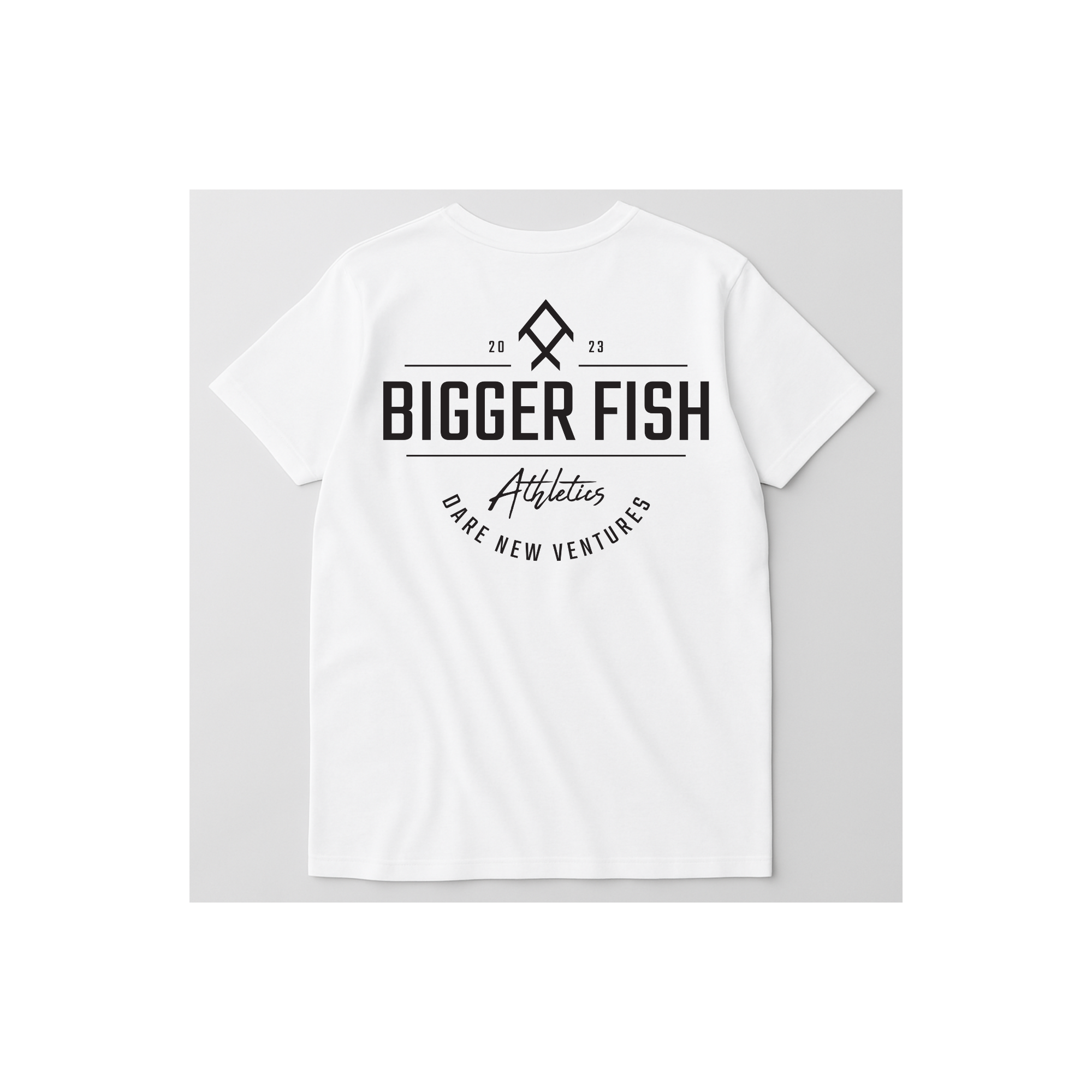 BFA Dare New Ventures T