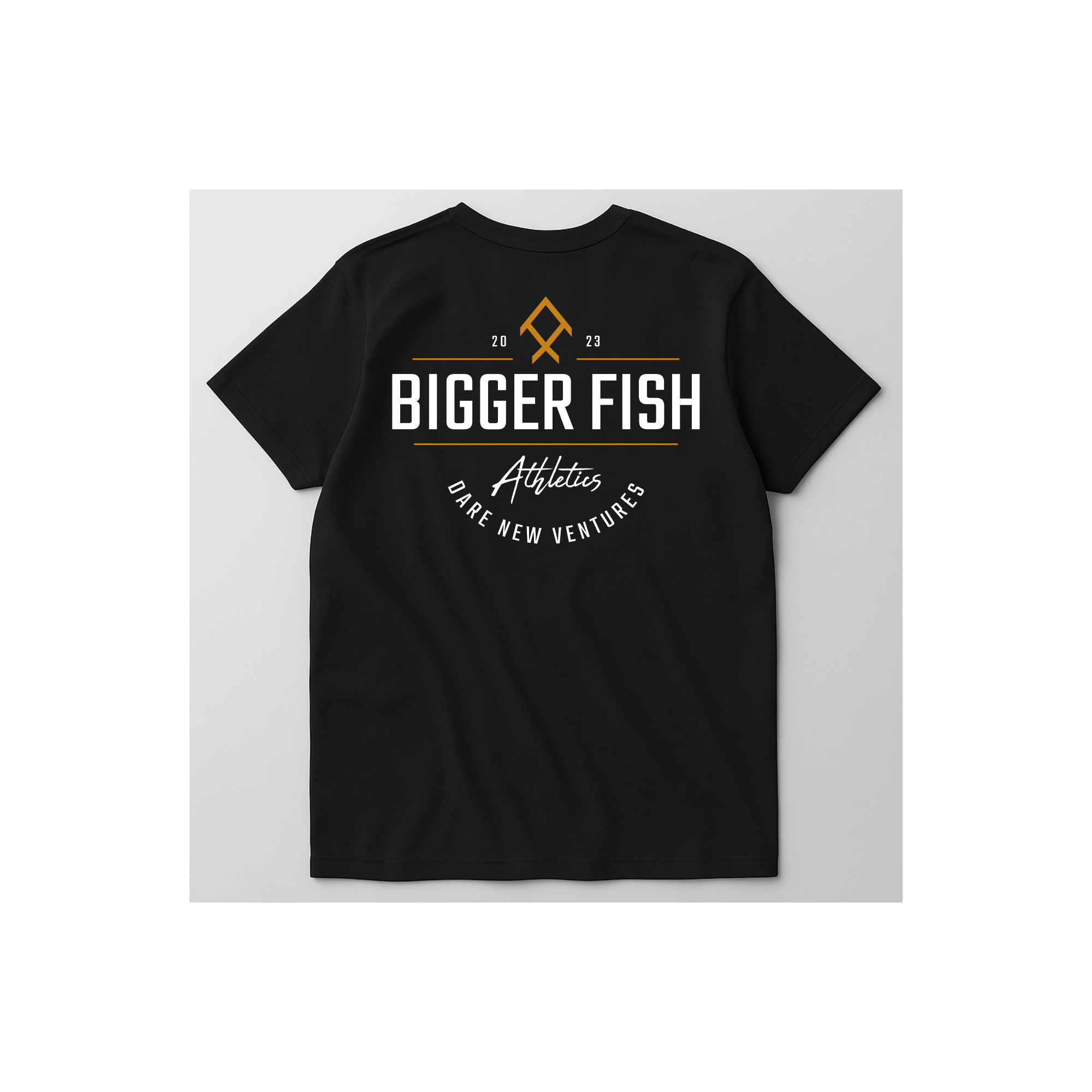 BFA Dare New Ventures T